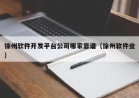徐州软件开发平台公司哪家靠谱（徐州软件业）