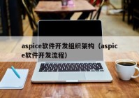 aspice软件开发组织架构（aspice软件开发流程）