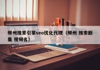 柳州搜索引擎seo优化代理（柳州 搜索剧集 视频名）